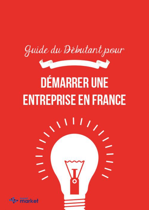 Guide du Débutant pour démarrer une entreprise en france